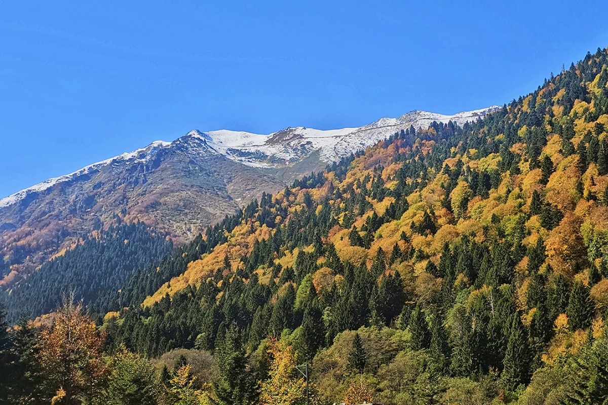 Kaçkar Dağları sonbahar renklerine büründü