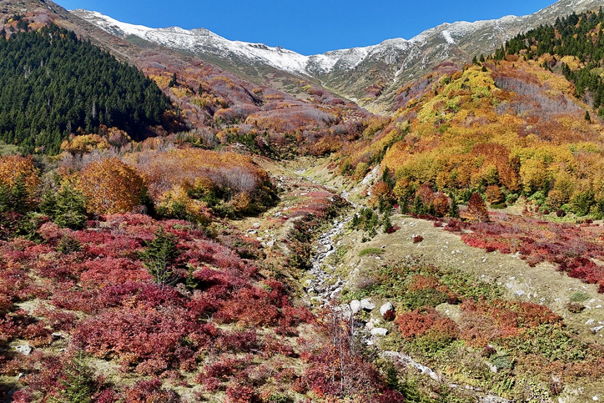 Kaçkar Dağları sonbahar renklerine büründü