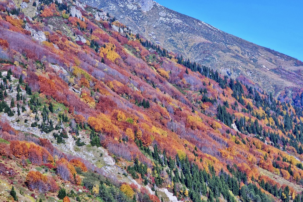 Kaçkar Dağları sonbahar renklerine büründü