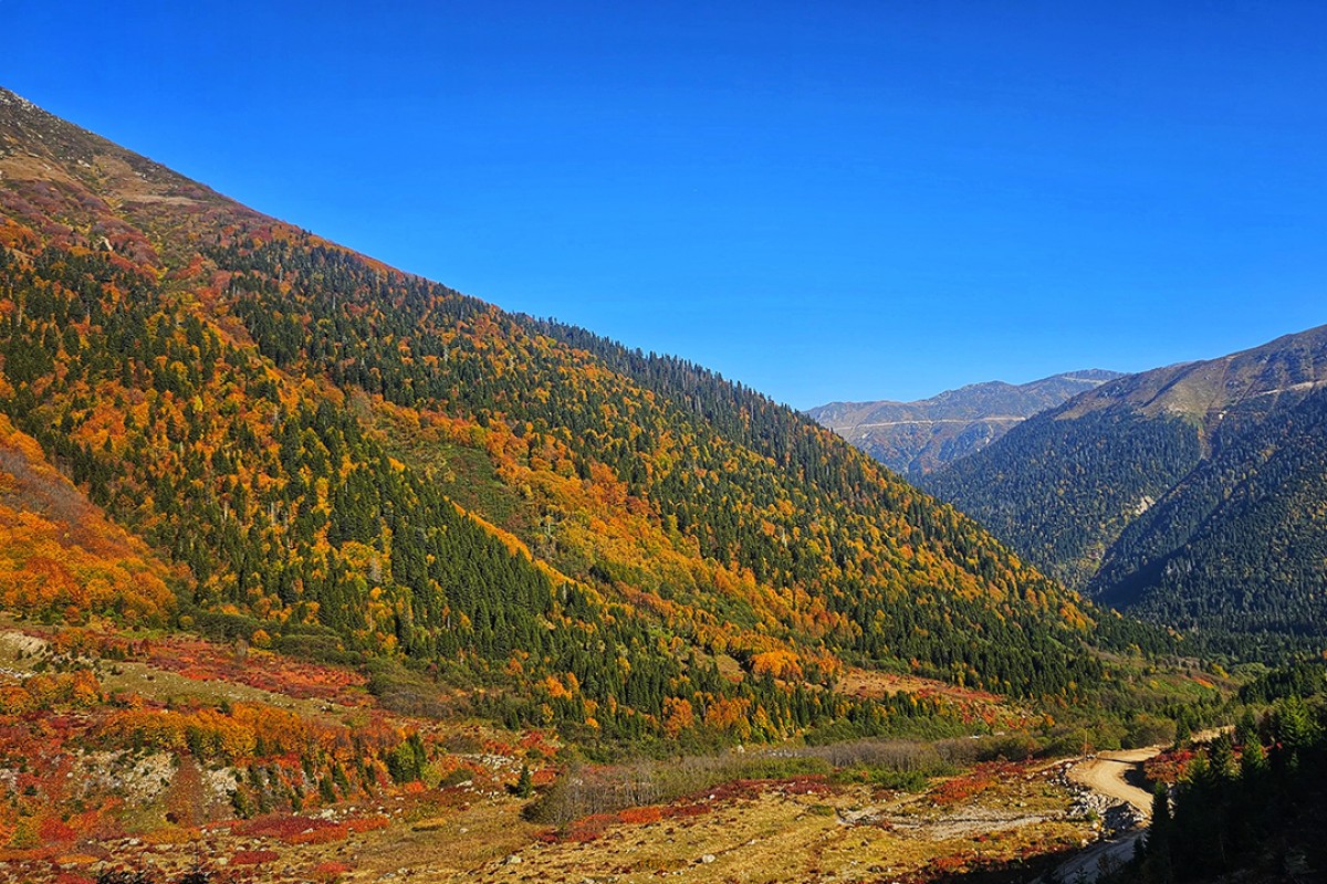 Kaçkar Dağları sonbahar renklerine büründü