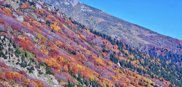 Kaçkar Dağları sonbahar renklerine büründü