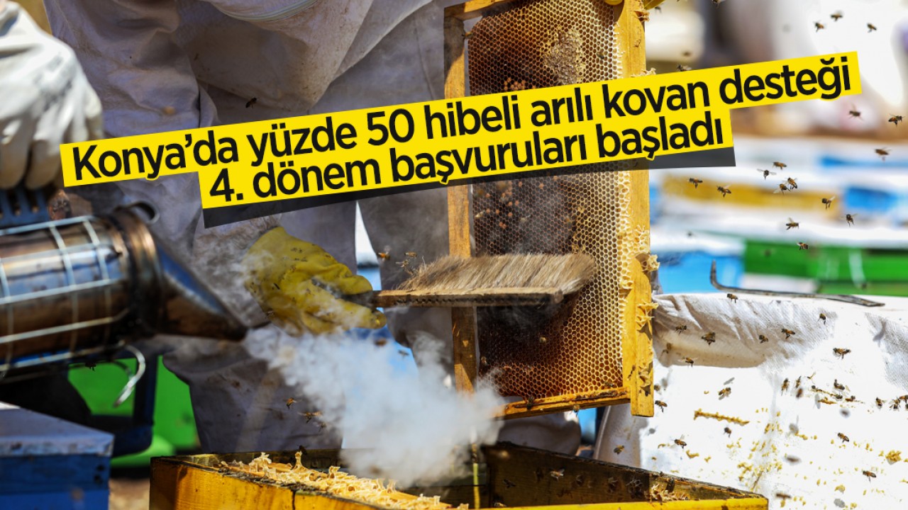 Konya’da yüzde 50 hibeli arılı kovan desteği 4. dönem başvuruları başladı