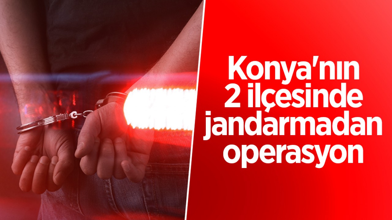 Konya'nın 2 ilçesinde jandarmadan operasyon