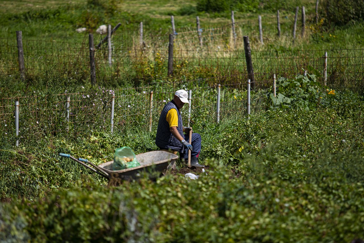 Bosna Hersek’te teknolojiden uzak, doğasıyla öne çıkan dağ köyü: Lukomir