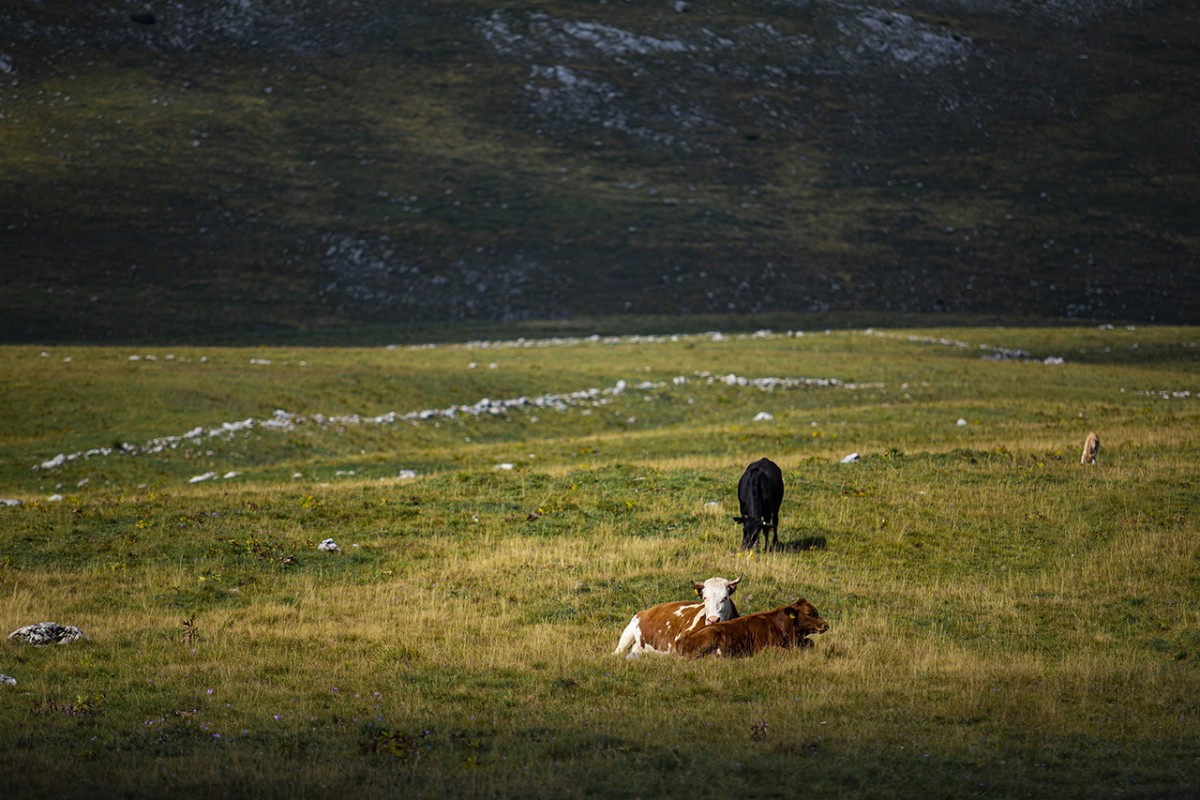 Bosna Hersek’te teknolojiden uzak, doğasıyla öne çıkan dağ köyü: Lukomir
