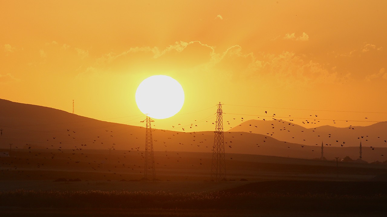 Göç yolculuğu başladı, sulak alanlar kuşlarla şenlendi