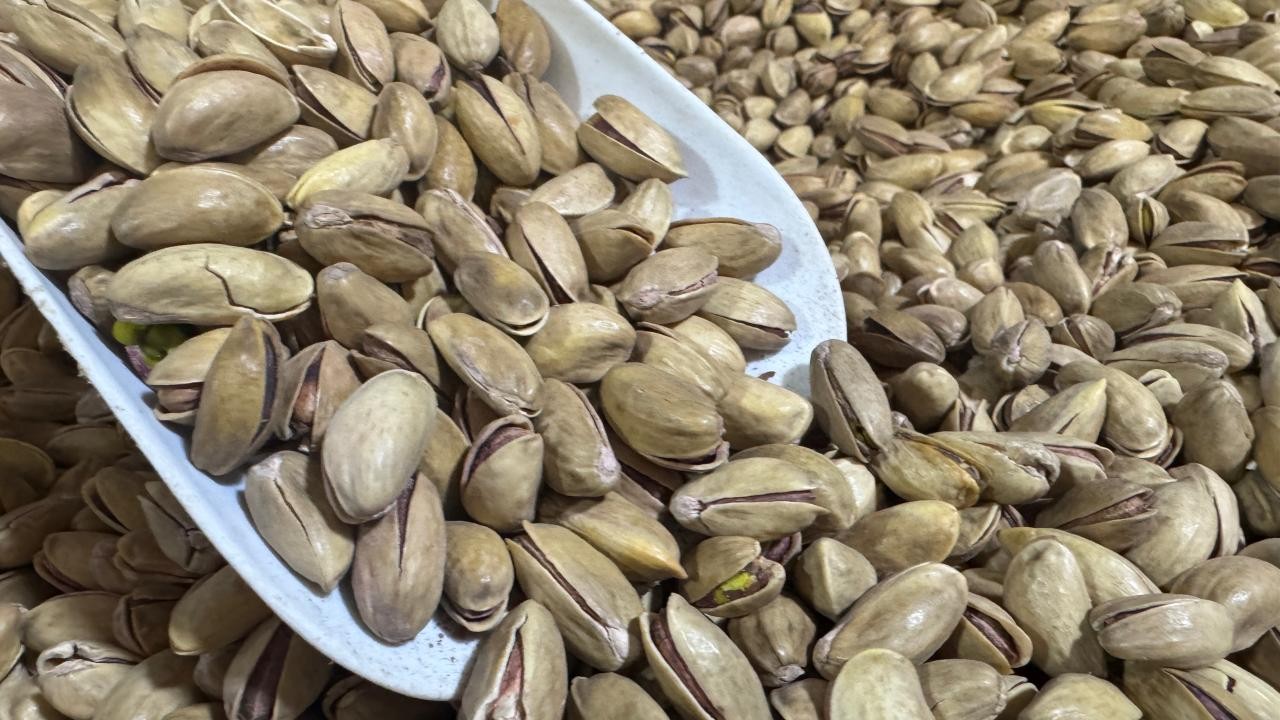 Türkiye'nin fıstık ihracatı yaklaşık 153 milyon dolar oldu