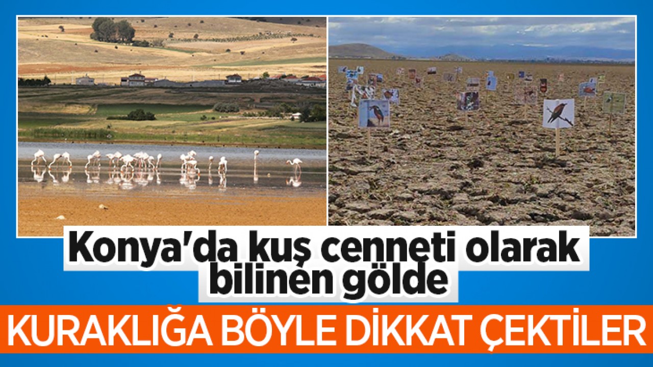 Konya'da kuş cenneti olarak bilinen gölde kuraklığa böyle dikkat çektiler