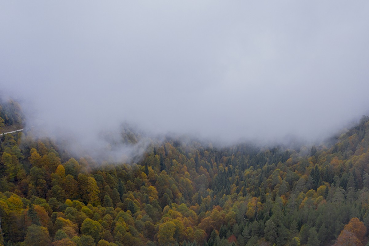 Sisle kaplanan Yedigöller yolu dronla görüntülendi