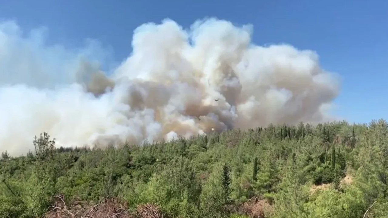 Türkiye’de 2025’te 6 bin 800 orman yangınıyla mücadele edildi