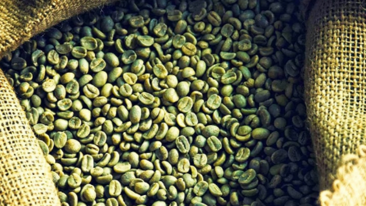Yeşil kahveyi toptan ucuza satın almak için nereden almalı
