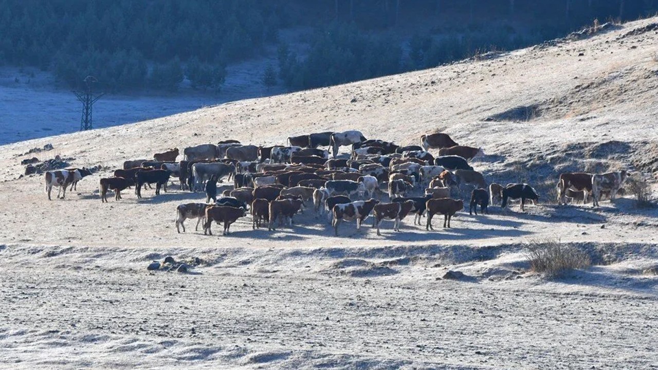 Hava buz kesti! Sıcaklık -3'e düştü, arabalar bembeyaz oldu