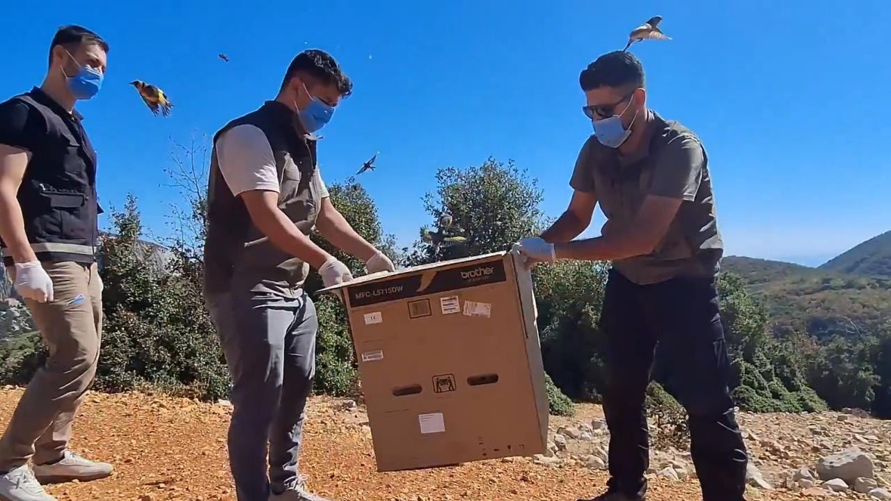 Yurt dışına kaçırılmak istenirken ele geçirilen 1431 saka kuşu doğaya salındı