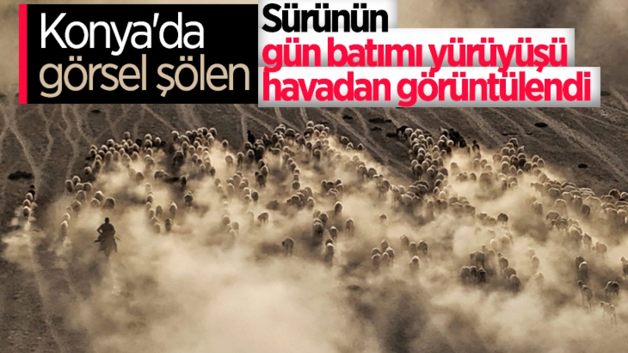 Konya'da görsel şölen: Sürünün gün batımı yürüyüşü havadan görüntülendi