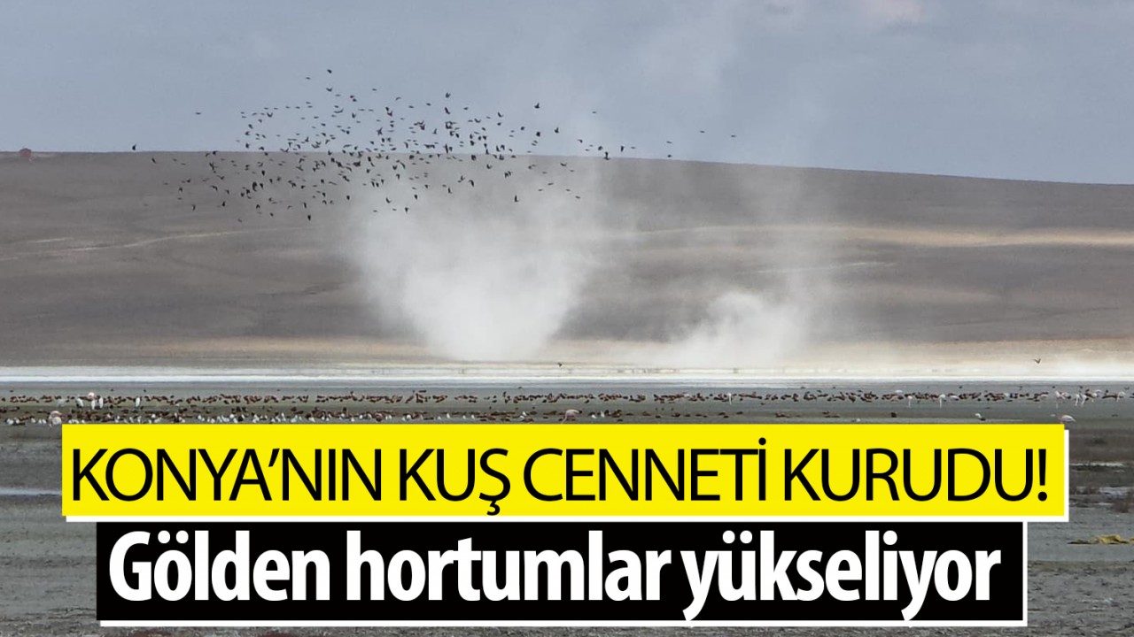 Konya'nın kuş cenneti kurudu! Gölden hortumlar yükseliyor