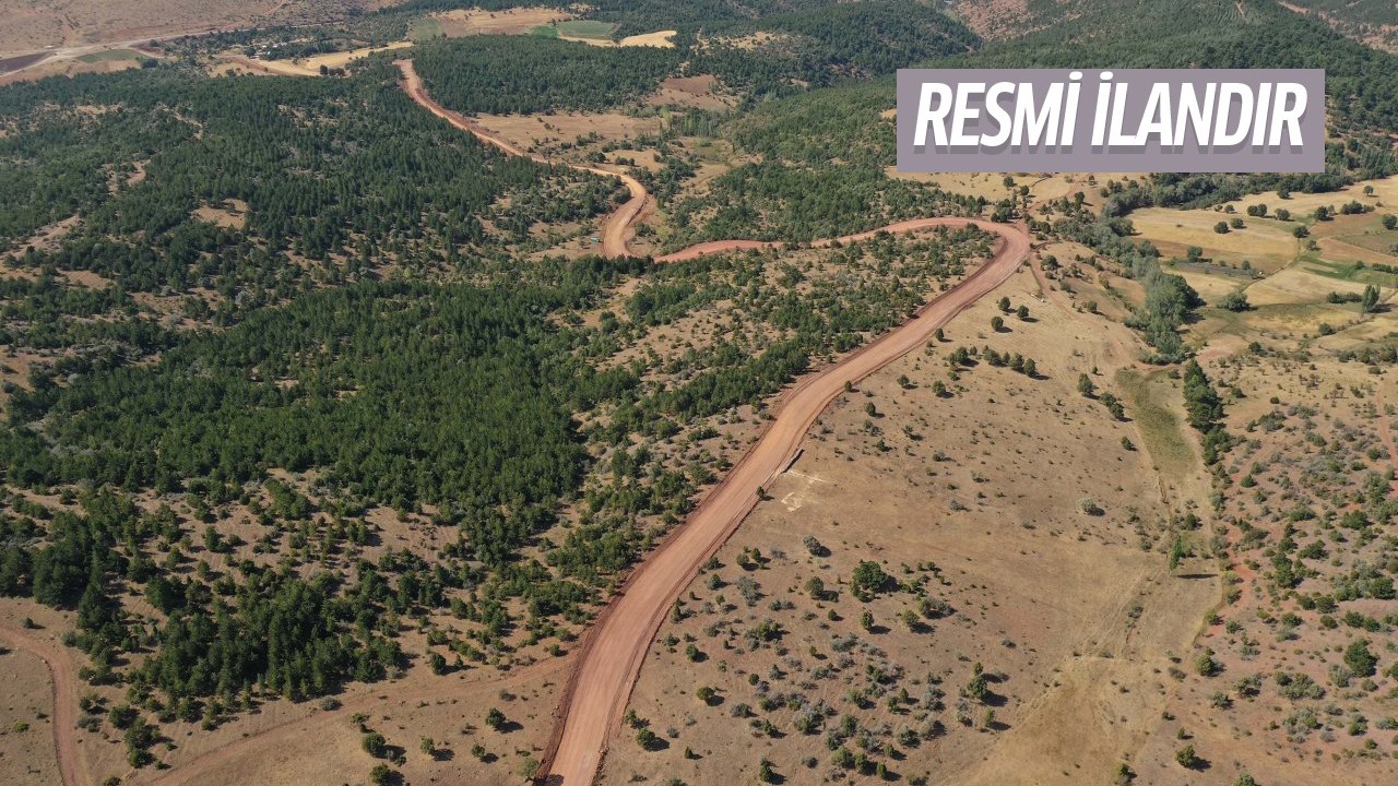 45500 adet muhtelif fidan dikimi ve 5 km tel ihata yapımı işi