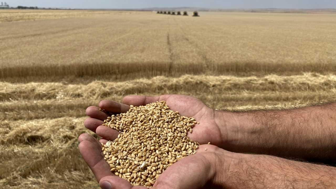 Bakan Yumaklı: Ülkemizin gıda ihtiyacında herhangi bir risk söz konusu değil