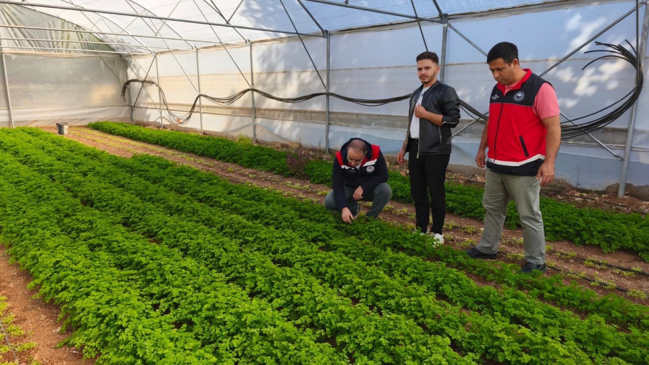 Beyşehir’de örtü altı üretim yaygınlaşıyor