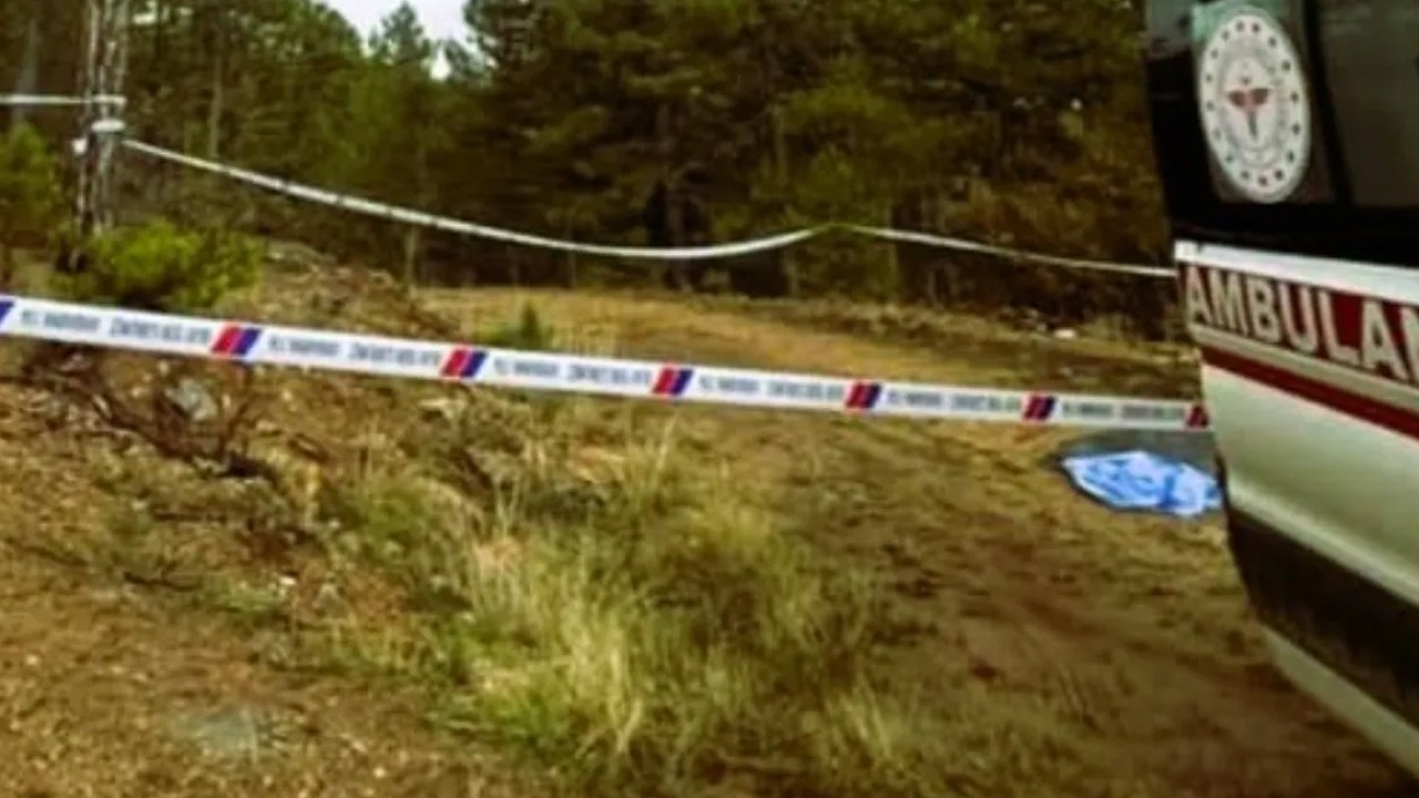 Mantar toplamaya giden yaşlı adam ormanda ölü bulundu