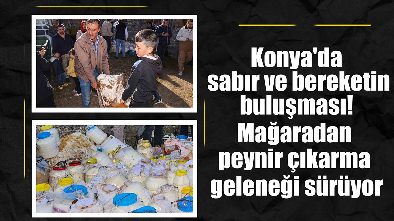 Konya'da sabır ve bereketin buluşması! Mağaradan peynir çıkarma geleneği sürüyor