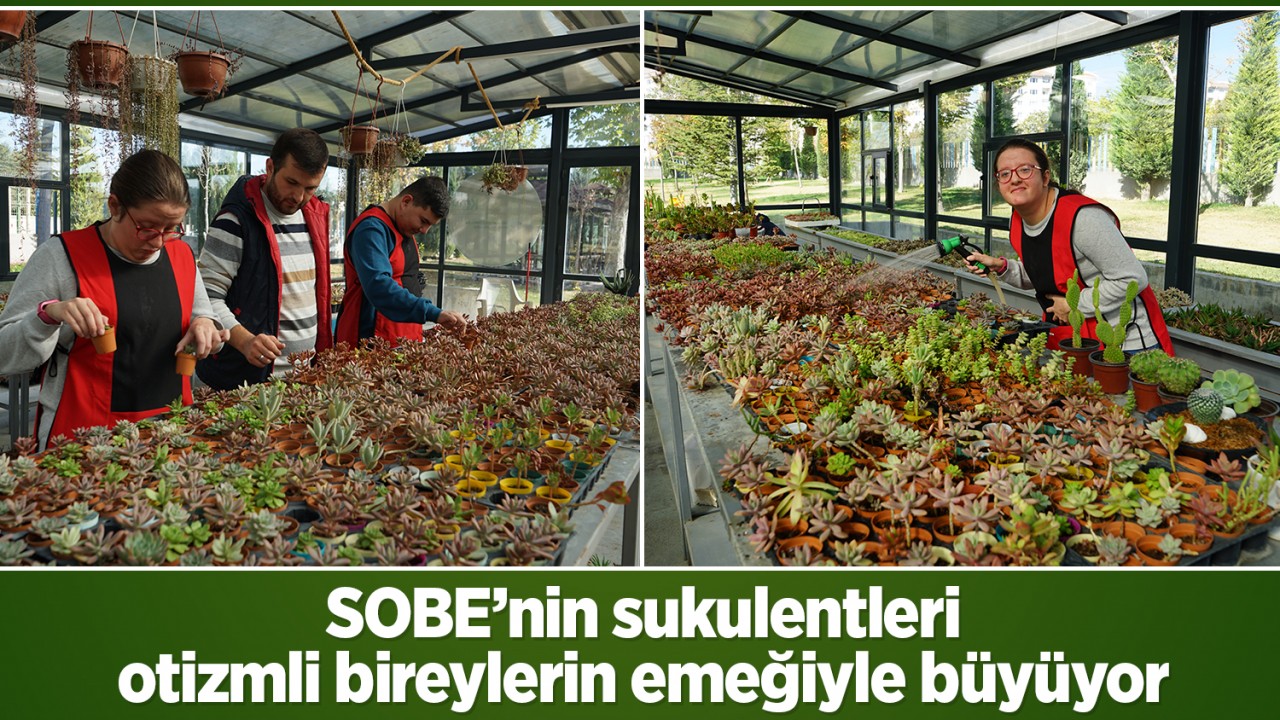 SOBE’nin sukulentleri, otizmli bireylerin emeğiyle büyüyor