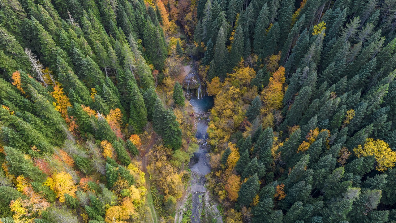 Azdavay'ın saklı güzelliği  Saray Şelalesi'nde sonbahar tüm renkleriyle yaşanıyor