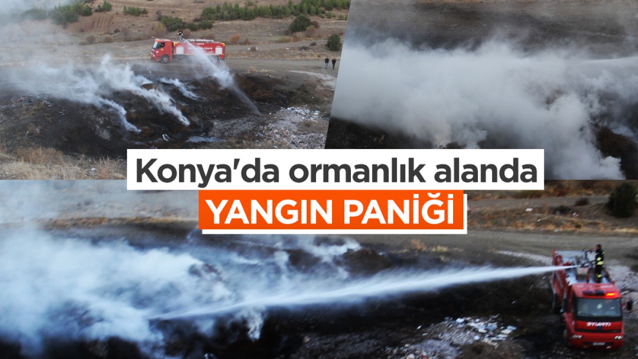 Konya'da ormanlık alanda yangın paniği