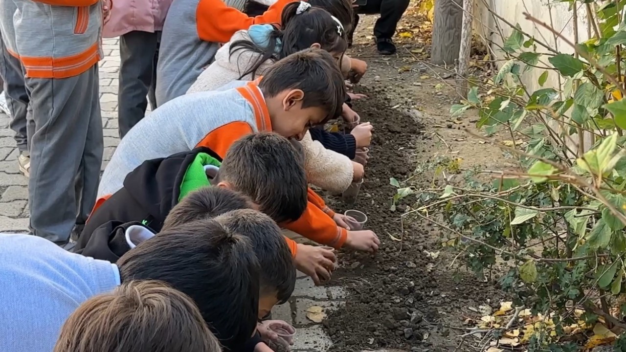 Konya'dan Yüksekova'ya gönül köprüsü: Ata tohumları toprakla buluştu