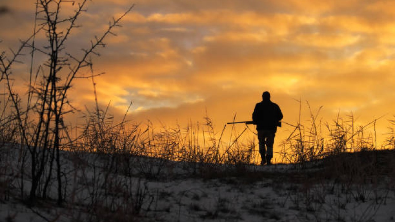 Türkiye’de Av Tüfeği Almanın Kuralları Değişti Mi Kullanıcılar Neye Dikkat Etmeli