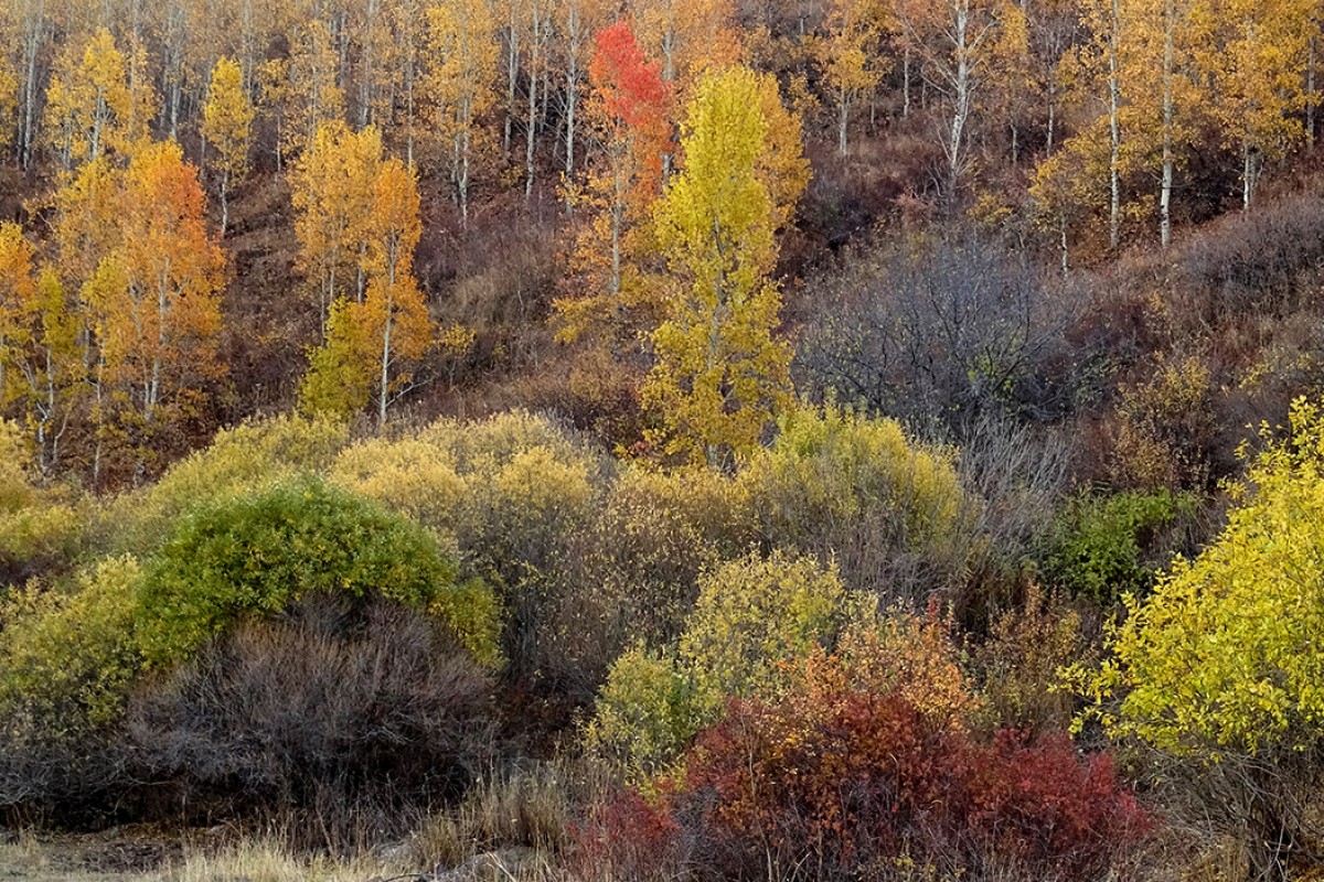 Kars’ta sonbaharın son güzellikleri yaşanıyor