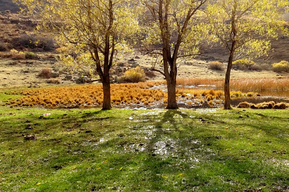 Kars’ta sonbaharın son güzellikleri yaşanıyor