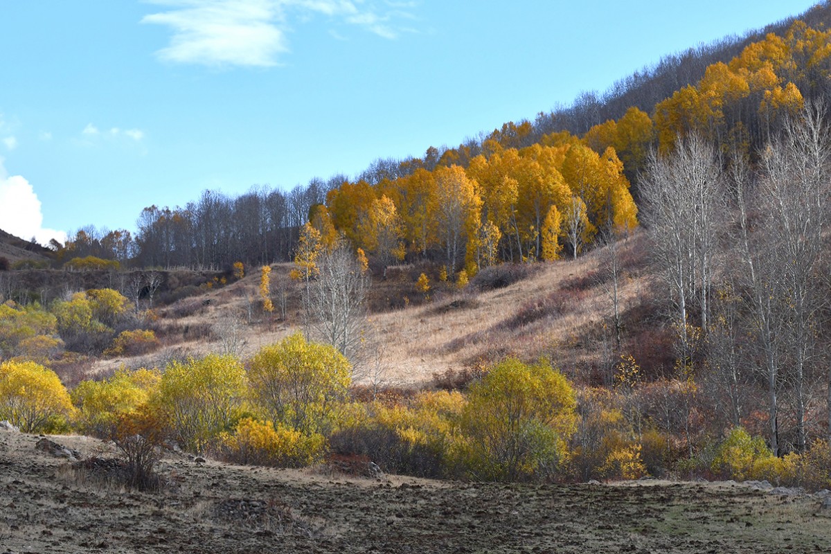 Kars’ta sonbaharın son güzellikleri yaşanıyor