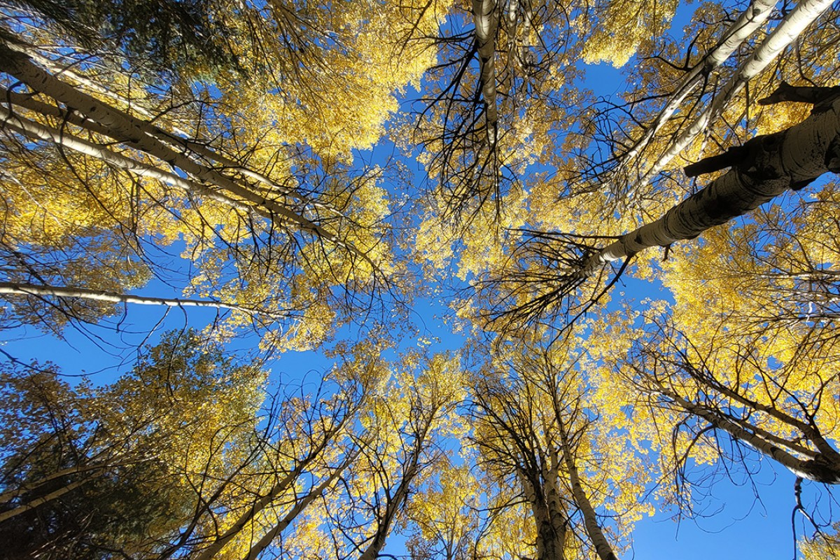 Kars’ta sonbaharın son güzellikleri yaşanıyor