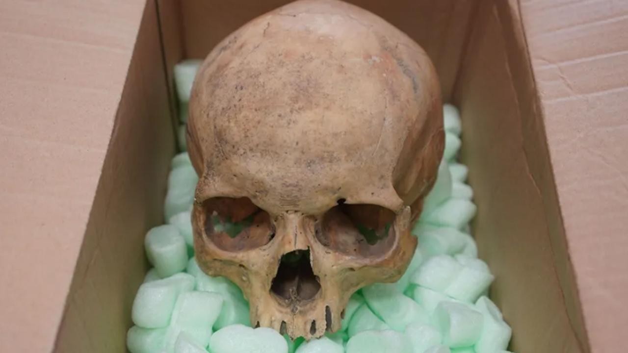 60 yıl önce Viyana Katedrali’nden kafatası çalan turist, ölmeden önce geri gönderdi