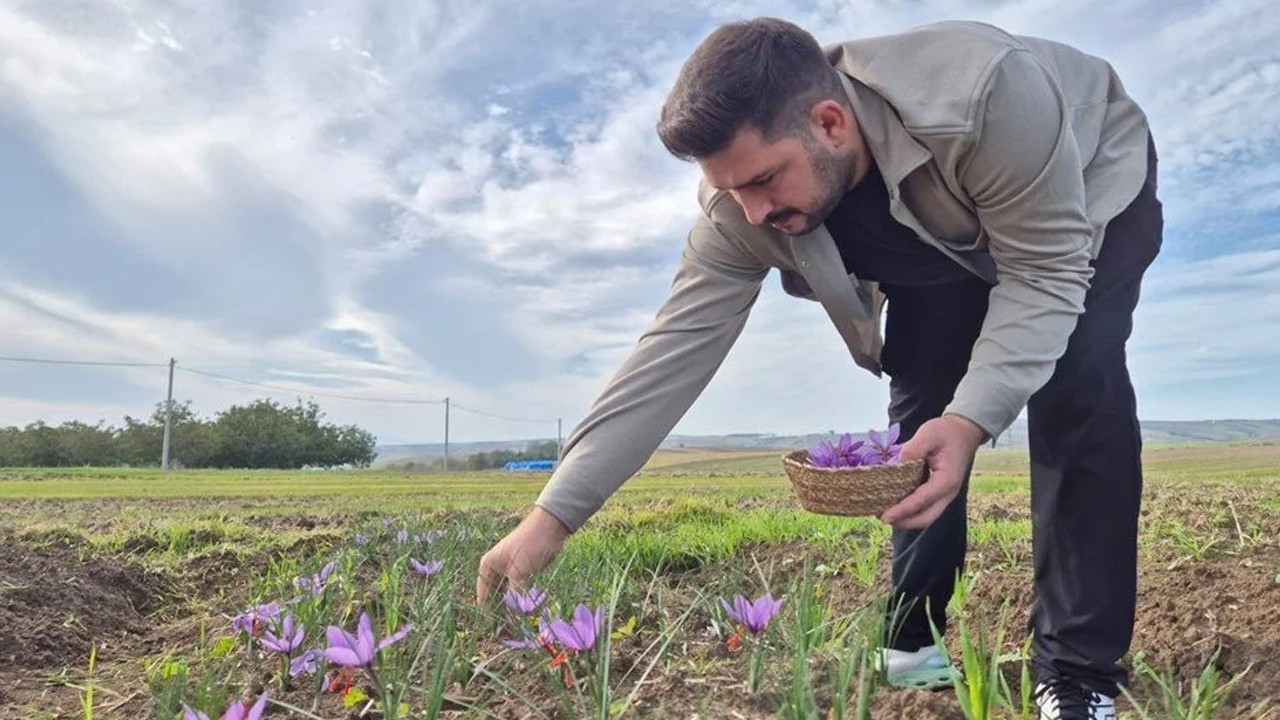 Bu baharatın kilosu 600 bin TL