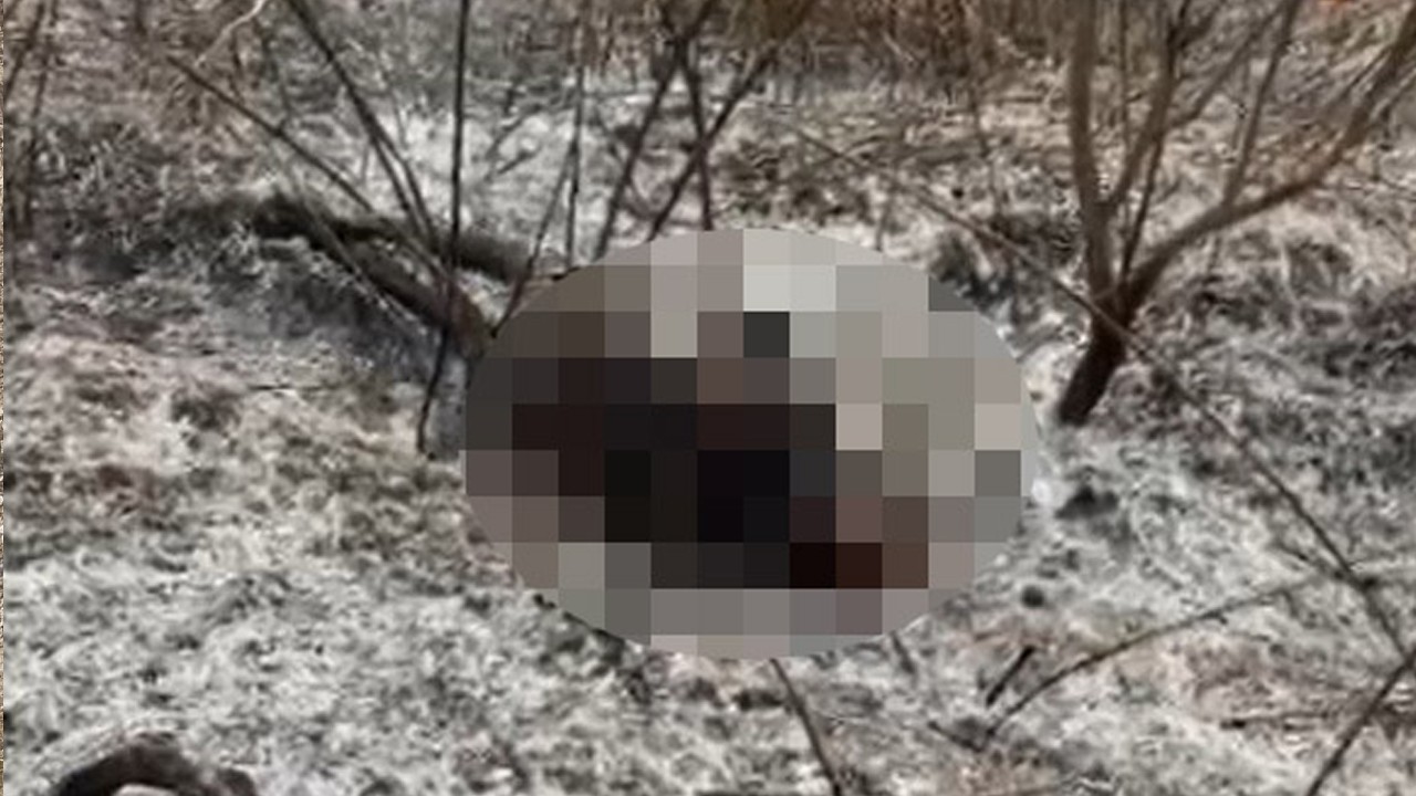 Temizlik için ateş yaktığı bahçede alevlerin arasında kalarak can verdi