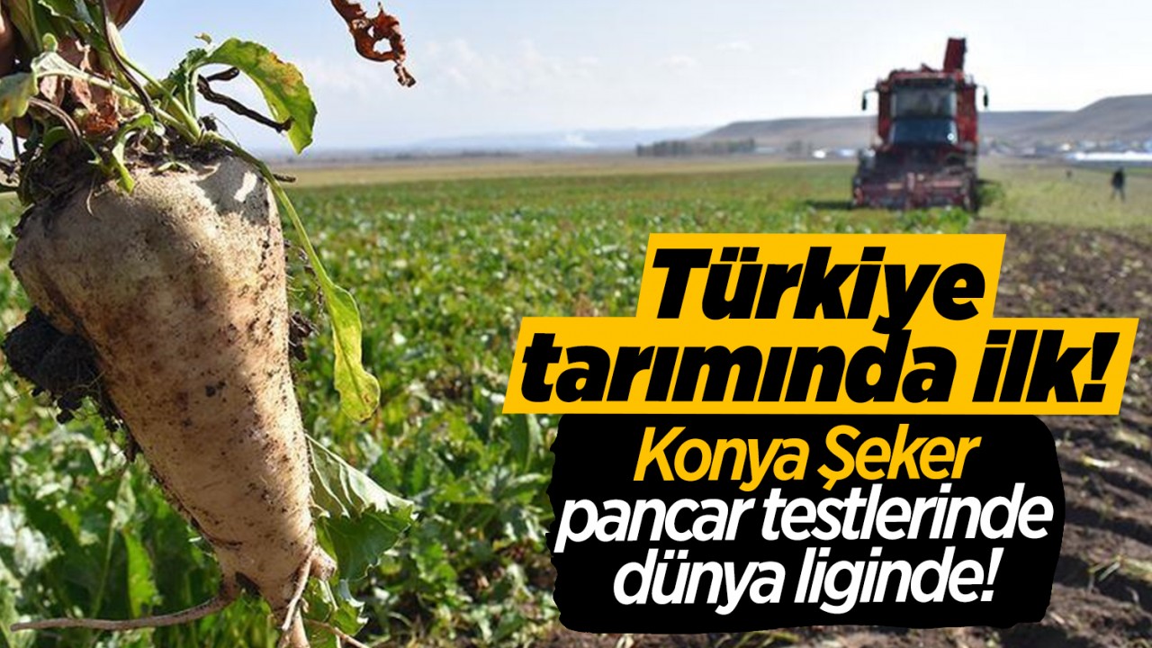 Türkiye tarımında ilk! Konya Şeker pancar testlerinde dünya liginde!
