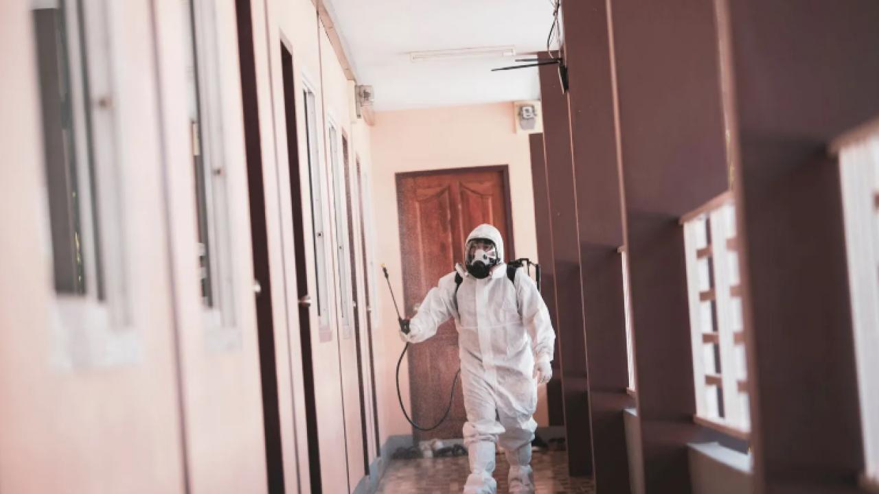 En Etkili Hamam Böceği İlacı Nedir?