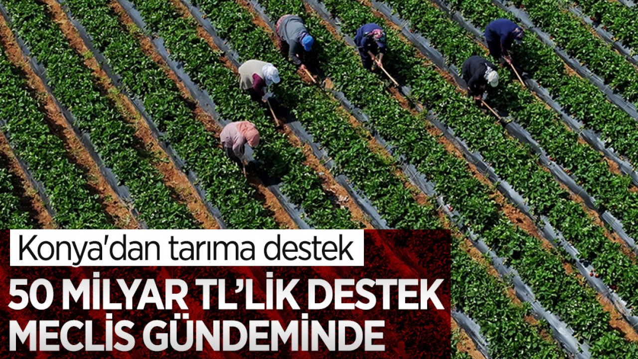 Konya'dan tarıma destek: 50 Milyar TL’lik destek meclis gündeminde