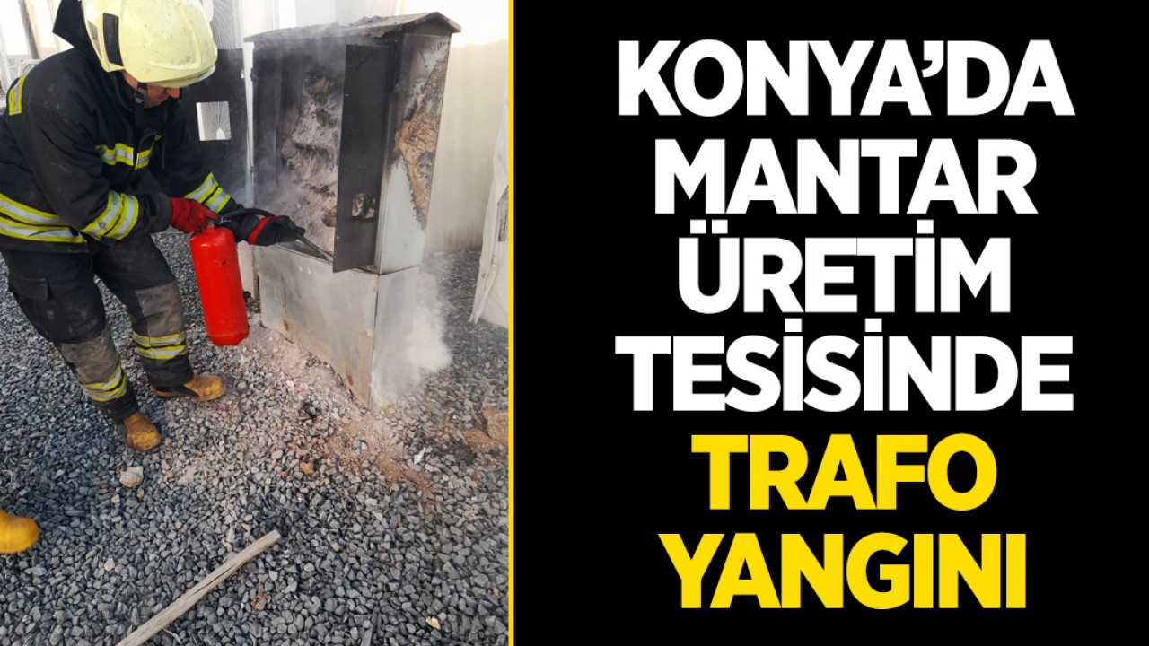 Konya’da mantar üretim tesisinde trafo yangını