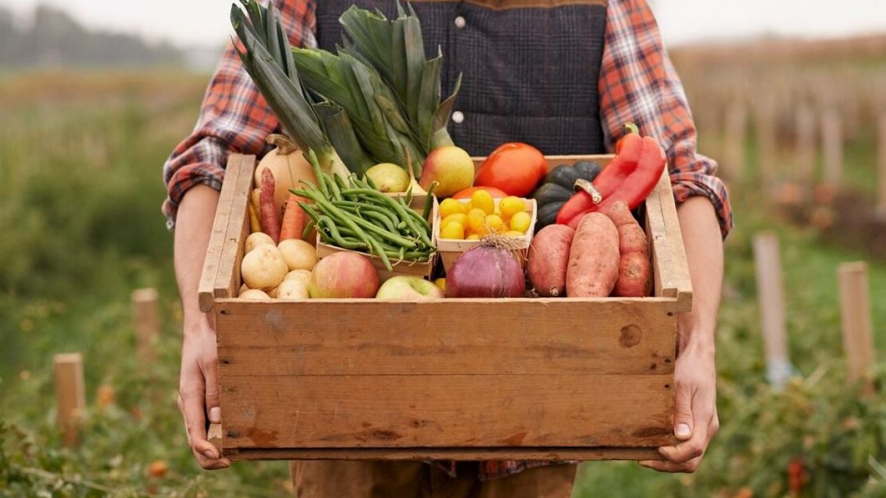Organik Yaşamın Önemi ve Günlük Hayata Etkisi