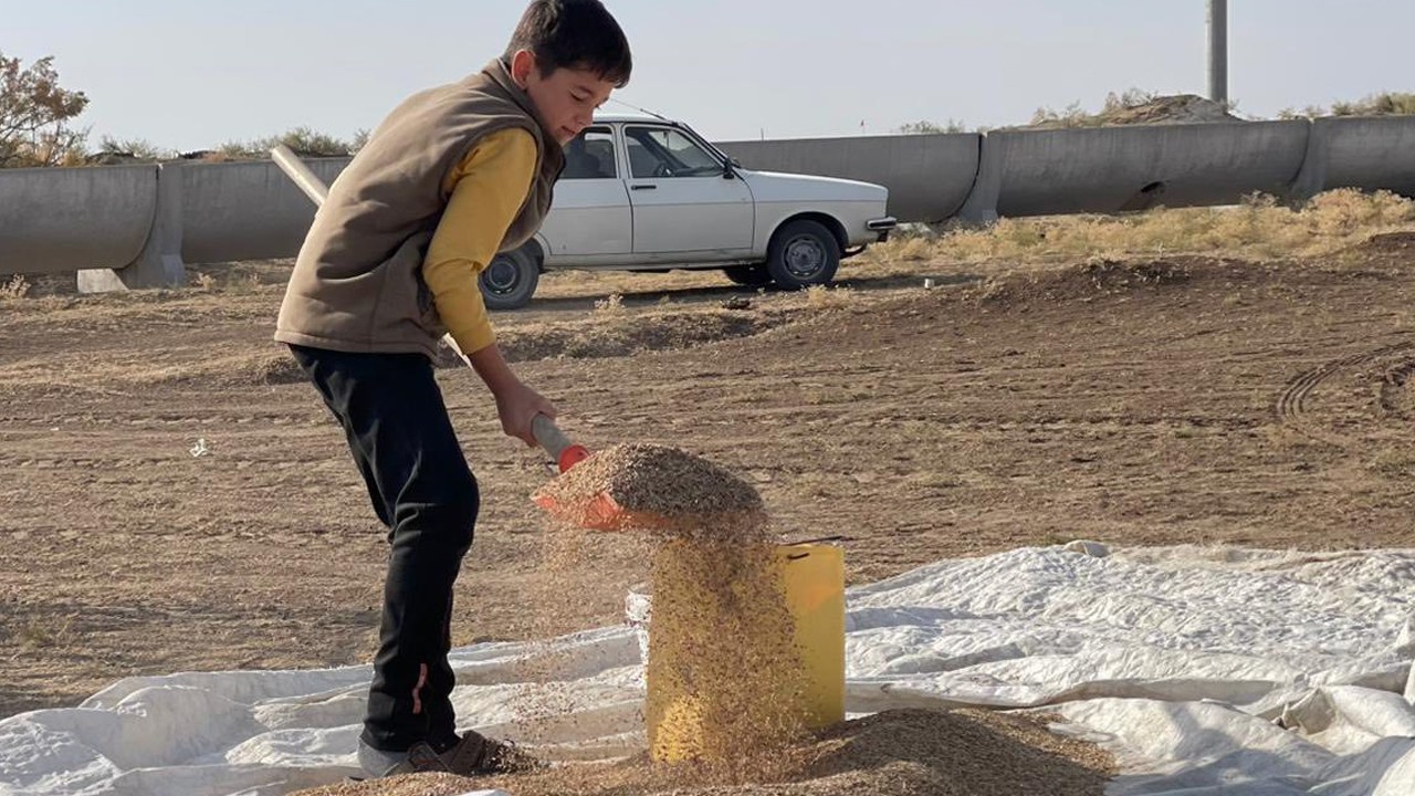 Çumra'da meralar yeniden yeşeriyor