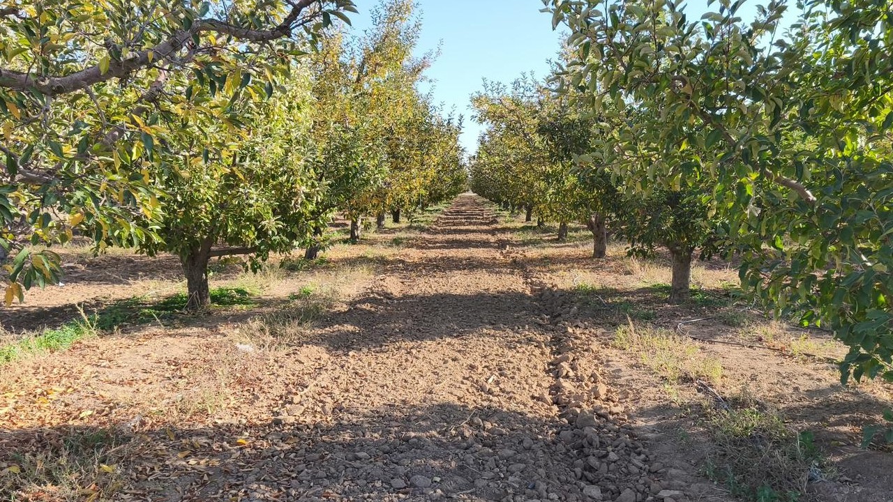 Beyşehir’de tuzak ve erken uyarı sistemi kontrolü