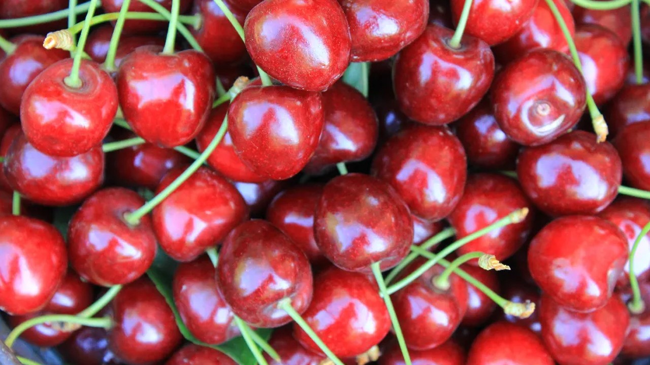Türkiye dondurulmuş kirazda dünya lideri