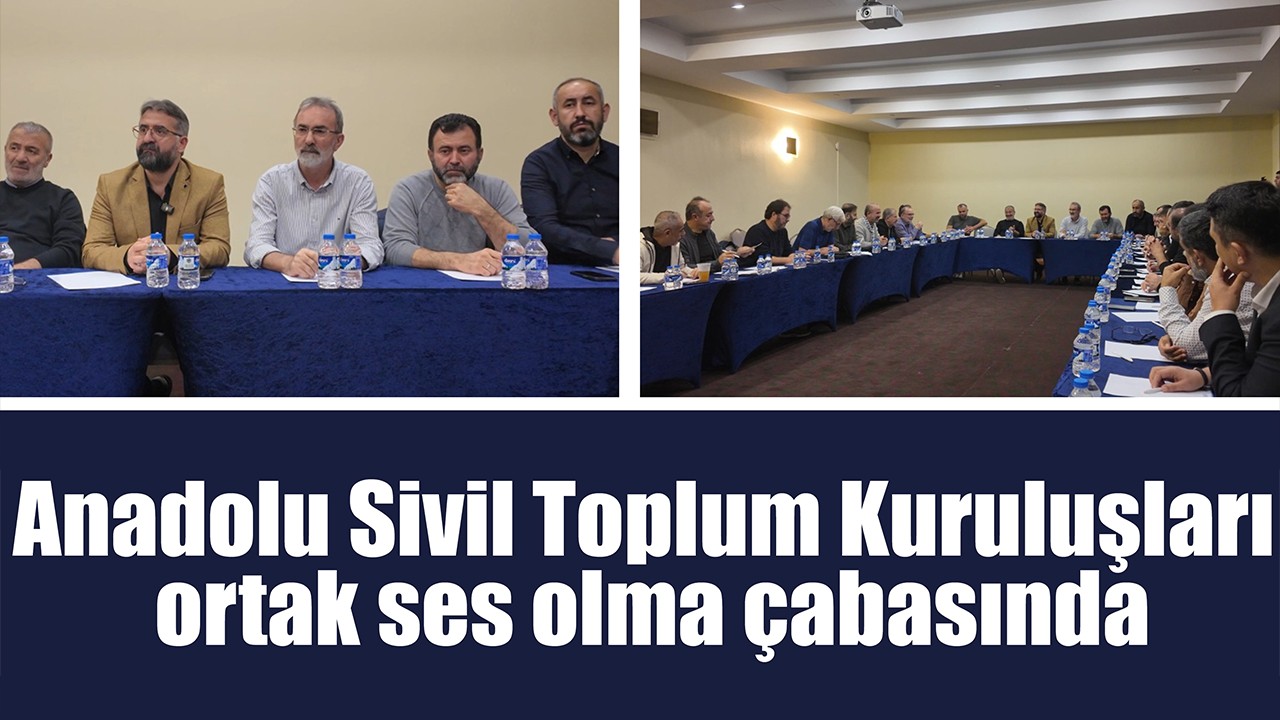 Anadolu Sivil Toplum Kuruluşları ortak ses olma çabasında