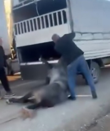 Kamyonetin arkasına bağladığı atı dakikalarca sürükledi! O anlar kamerada