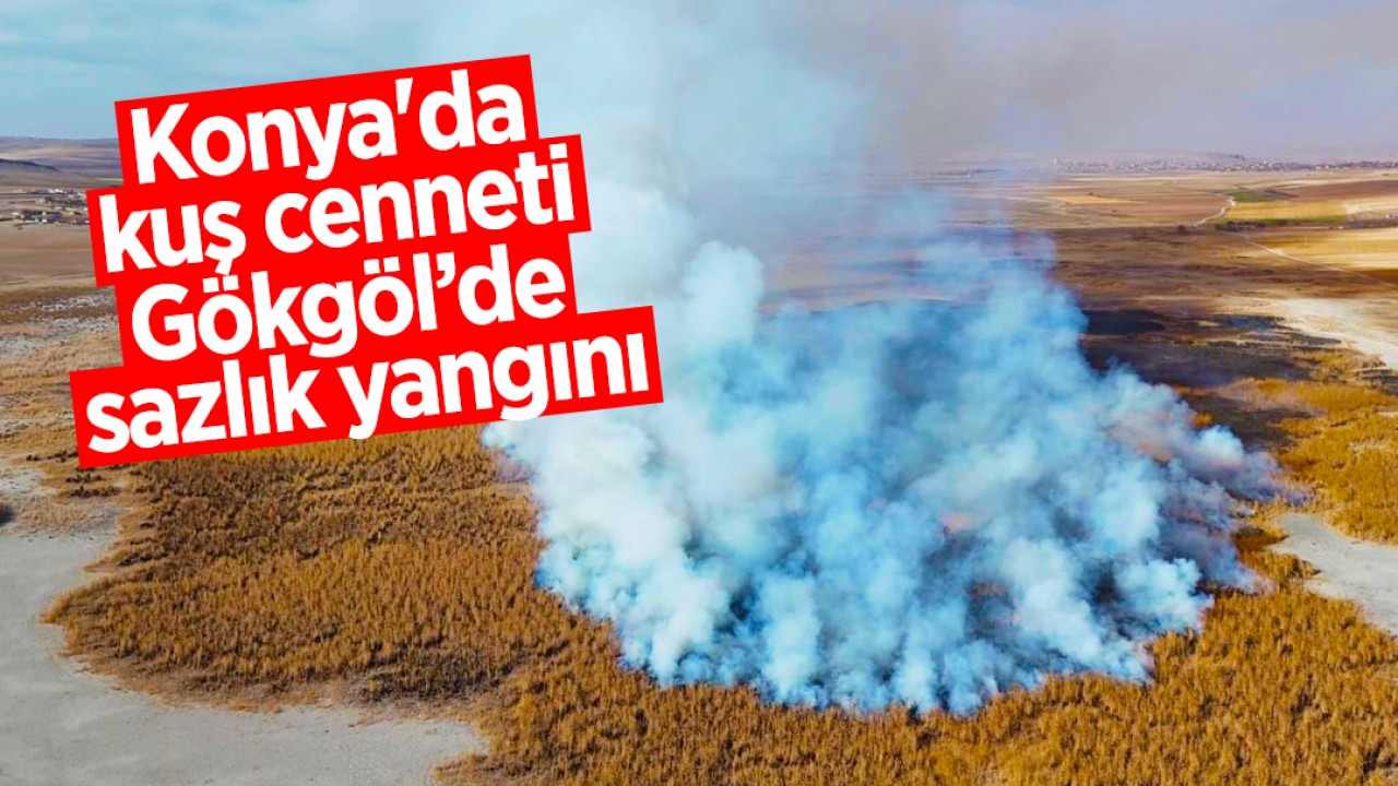 Konya'da kuş cenneti Gökgöl’de sazlık yangını