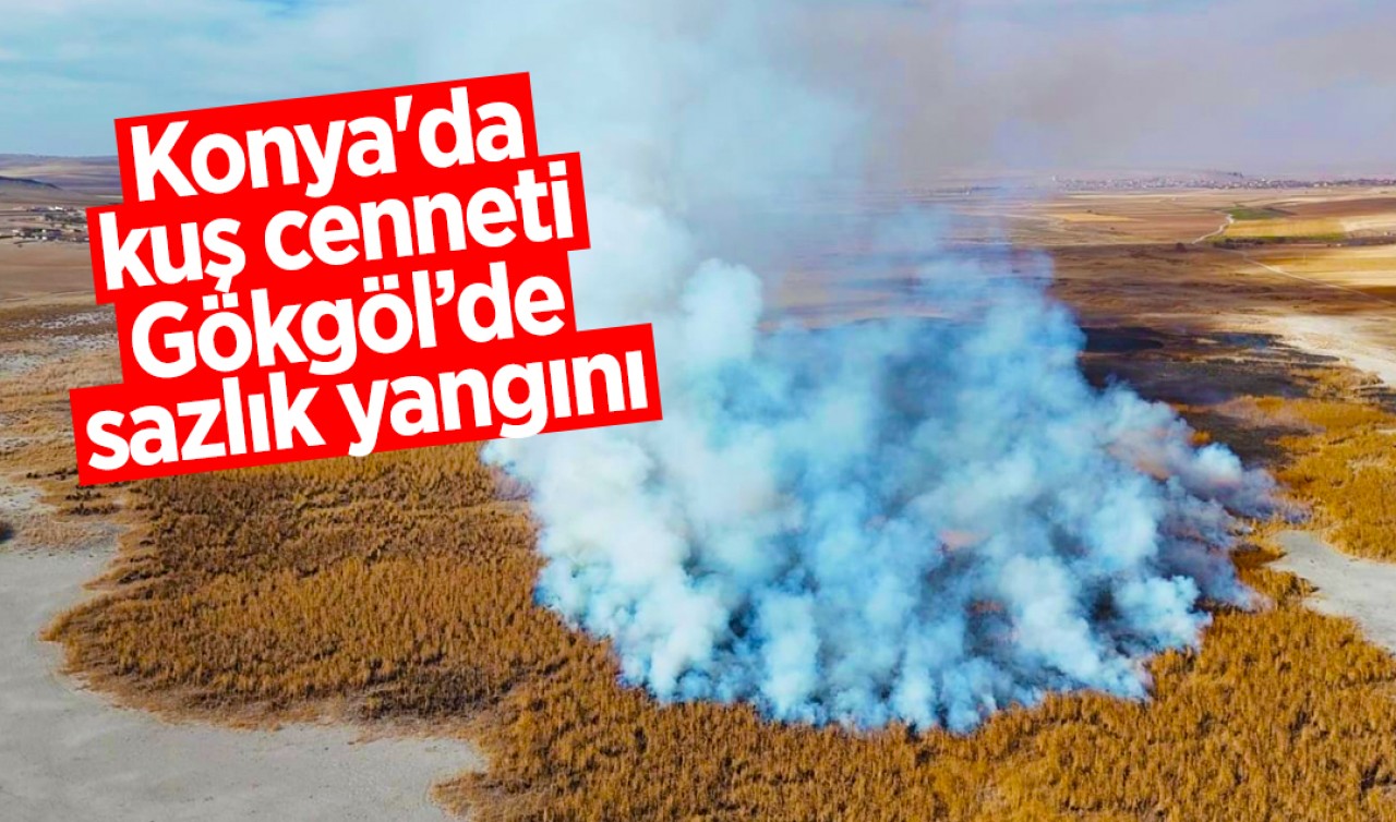 Konya'da kuş cenneti Gökgöl’de sazlık yangını