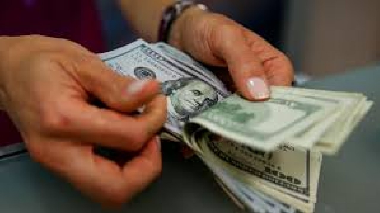 Dolar sakin seyrediyor