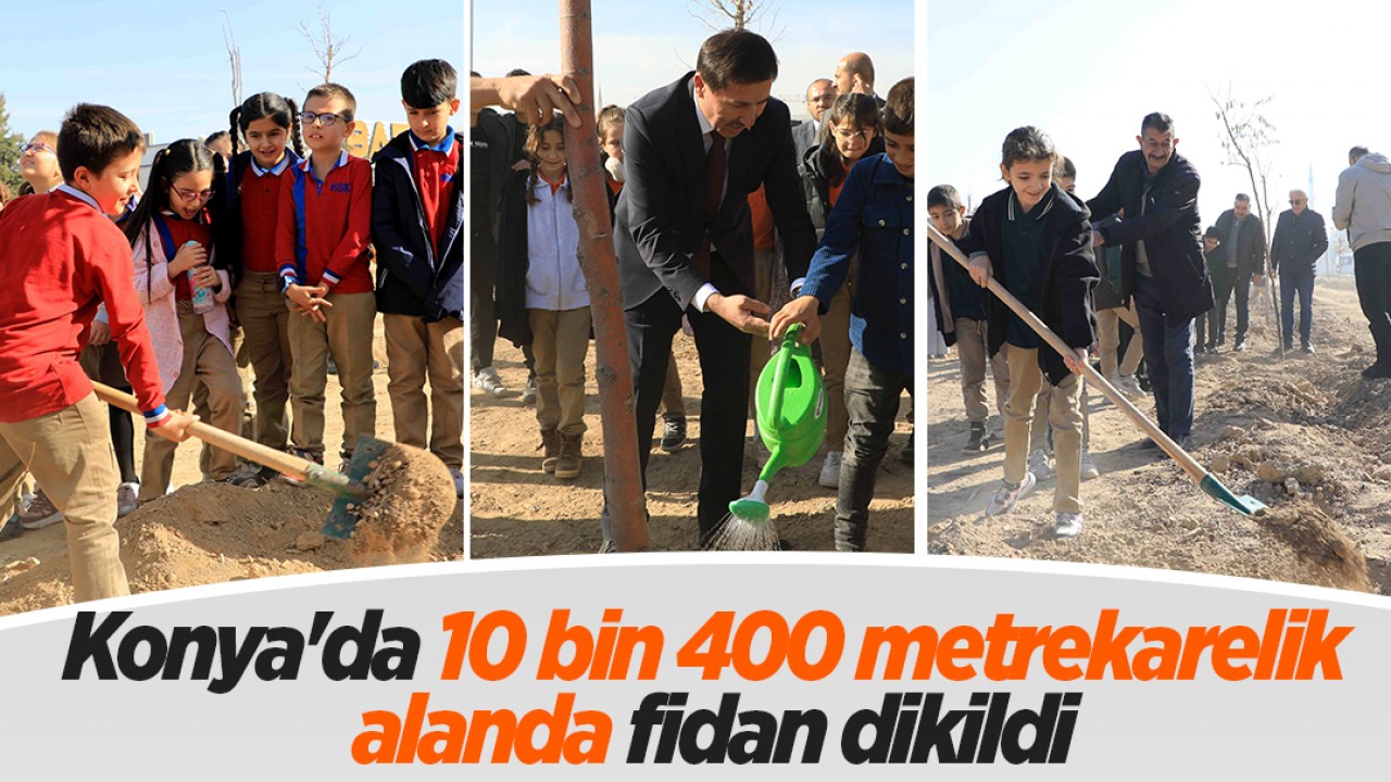 Konya'da 10 bin 400 metrekarelik alanda fidan dikildi